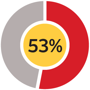 Loans are by far the most common form of financing, sought by 53% of businesses.